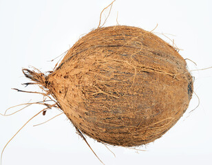 Coconut
