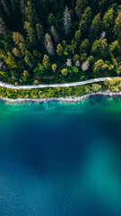 Beautiful top view of a lake surrounded by forest in the middle of the Alps, Gosausee, Austria