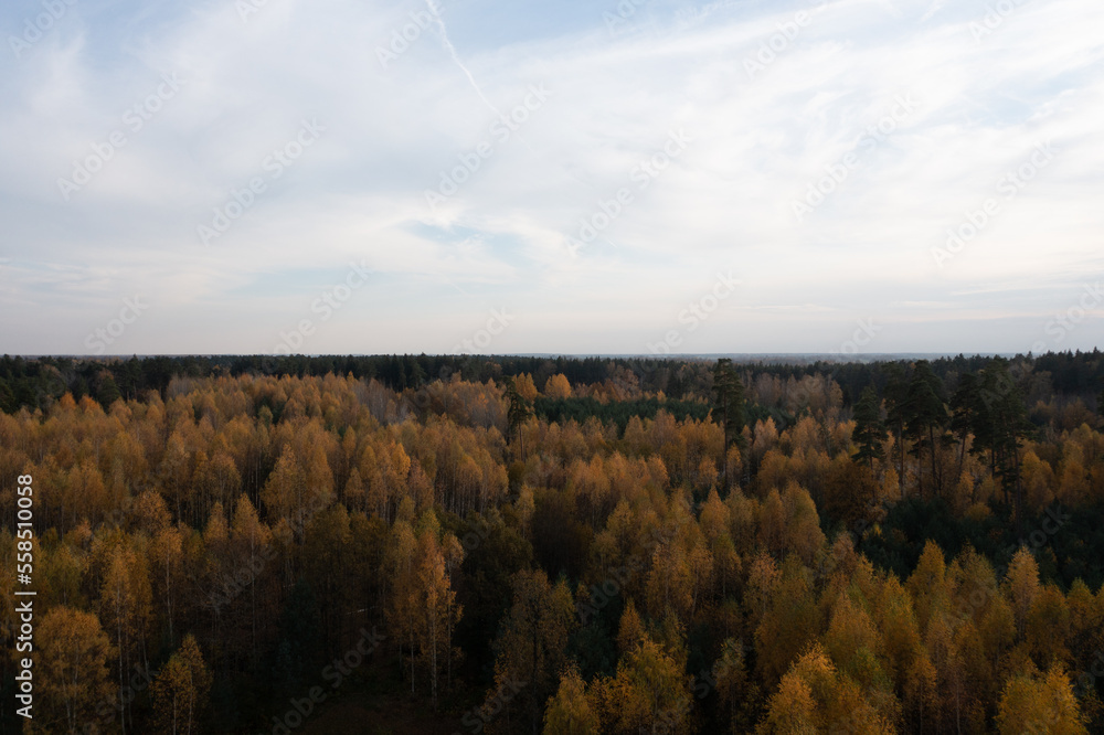 Aufkleber a view of a forest from a bird's eye view of the sky and trees in the foreground, with a few clouds 