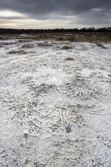 Saltpeter on the floor of a lagoon in a semi desert environment, La Pampa province, Patagonia, Argentina.