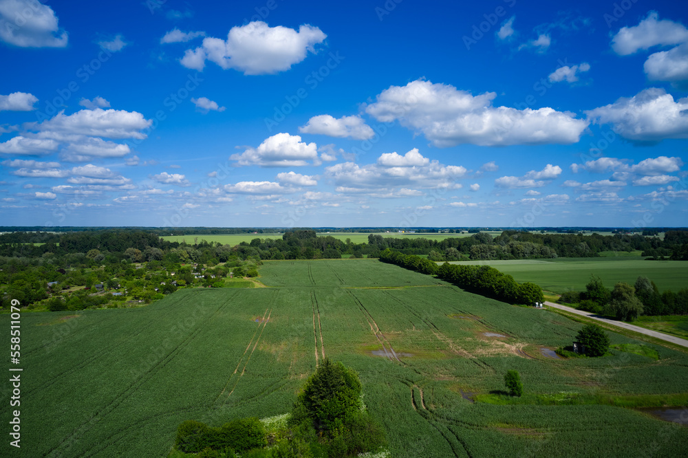 Poster an aerial view of a green field with trees and a blue sky with white clouds above it and a road runn