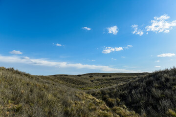 Pampas grass landscape, La Pampa province, Patagonia, Argentina.