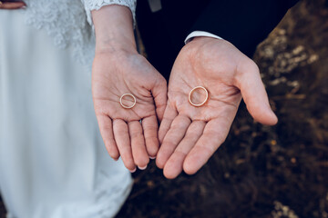 Hands,  picture of man and woman with wedding ring, groom and bride during big day,love