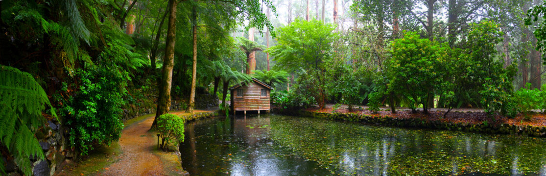 An Old Cottage In The Dandenong Ranges
