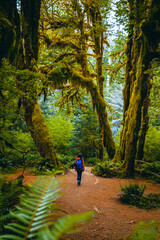 Woman wearing red jacket stands in Hoh Rainforest, Olympic National Park, WA, USA. Concept of solo female traveler.
