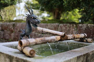 比叡山延暦寺の龍