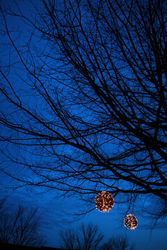 Decorations hang on trees at Fearrington Village, Pittsboro NC
