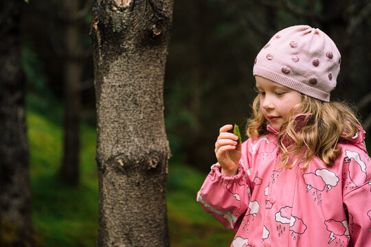 Adorable girl studying leaf in forest
