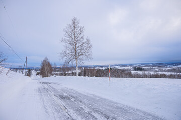 冬のジェットコースターの路