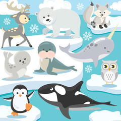 Arctic baby animals vector artwork