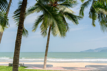 Fototapeta na wymiar Nha Trang beach and tropical palm tree in Vietnam