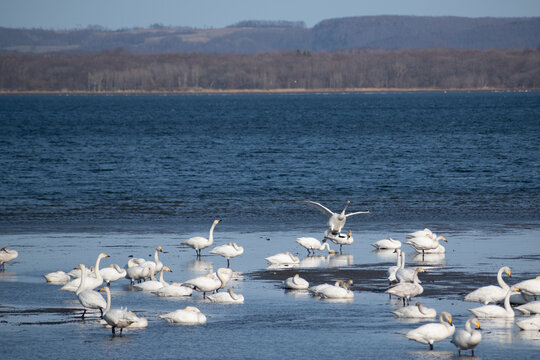 「14号」の画像 3,799 件の Stock 写真、ベクターおよびビデオ Adobe Stock