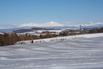 冬の晴れた日の融雪剤がまかれた畑と雪山　大雪山
