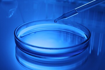 Dripping reagent into Petri dish with sample on table, toned in blue