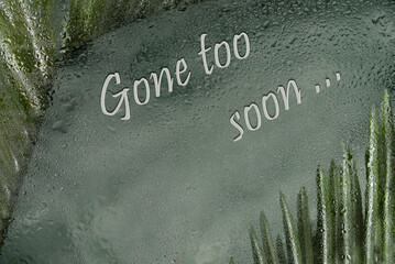 Death announcement Gone too soon