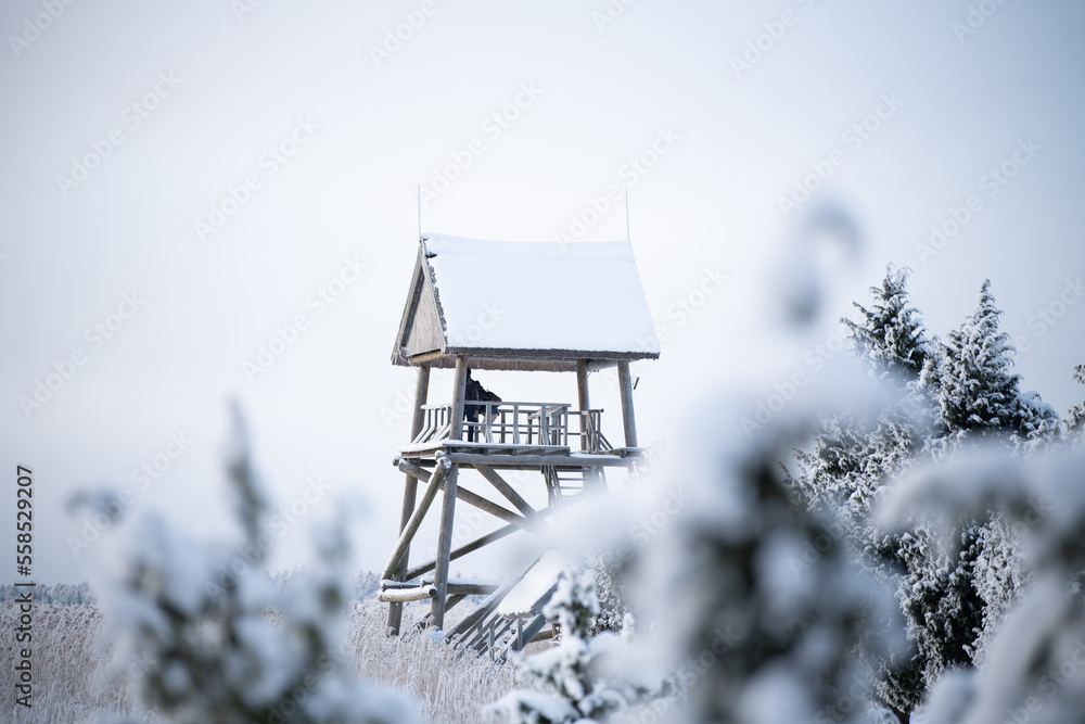 Poster a tree house in the middle of a snowy field with trees in the foreground and a person standing on a 