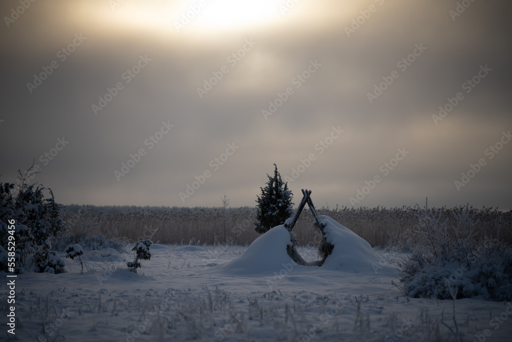 Poster a snow covered field with a hammock in the middle of the snow and trees in the distance with a sun s