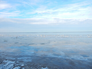 Naklejka na ściany i meble seagulls and snow on winter baltic sea