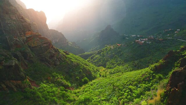 Spring nature with bright green grass and trees on a sunny morning. The rays of the sun shine Masca Gorge and village in ravine. Beautiful natural landscape. Tenerife Canary Islands Spain Europe.