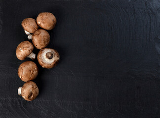 Freshly harvested champignon mushrooms on dark stone