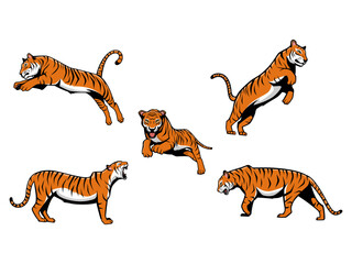 Fototapeta na wymiar Set of Tigers Vector Cartoon Illustration Mascot Logo Isolated on a White Background