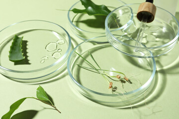 Petri dishes and plants on pale light green background