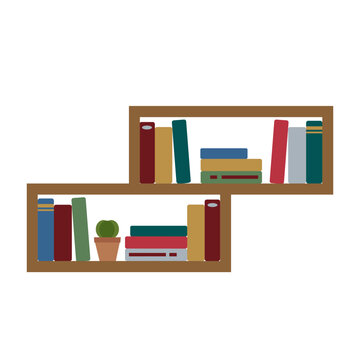 Simple flat wooden bookshelf with two shelves, books and cactus