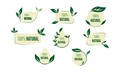 Set of eco friendly green badges design. Collection of vegan ,bio, organic food, gluten free, and natural products labels. Eco stickers for labeling package