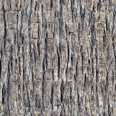 Background of seamless flat texture of brown palm tree bark