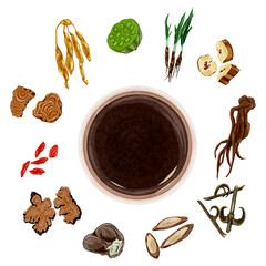 女性の悩みに役立つ漢方生薬の手描き水彩風イラスト