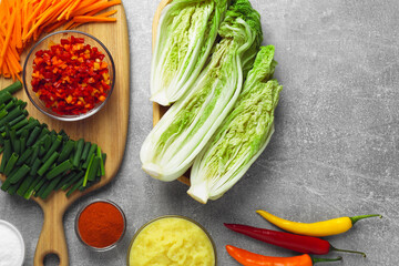 Fresh Chinese cabbages and other ingredients for kimchi on light grey table, flat lay