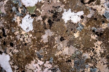Raw rock texture