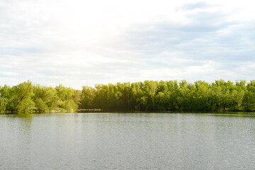 Summer nature landscape with lake, river or pond, blurred background