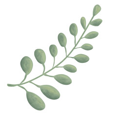 Watercolor green leaves element. Botanical vector isolated on a white background suitable for wedding invitation design, save the date, thank you, or greeting card.