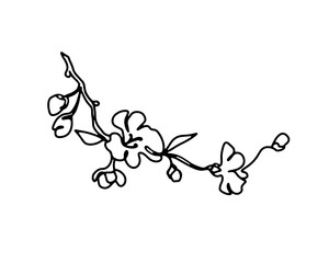 Cherry branch with flowers one line art hand drawn black and white illustration