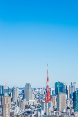 Fototapeta premium 日本の首都東京都の東京タワーとビル郡