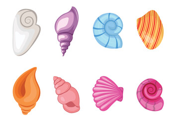 Ocean cockleshells vector illustration