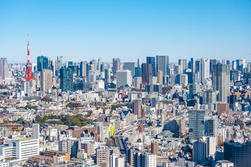 Fototapeta premium 日本の首都東京都の東京タワーとビル郡