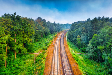Fototapeta na wymiar The railway runs through the forest. Empty tracks at sunset or dawn.
