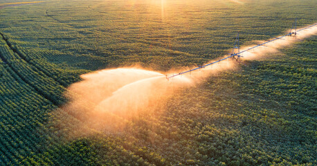 Automatic watering of agricultural fields drone view.