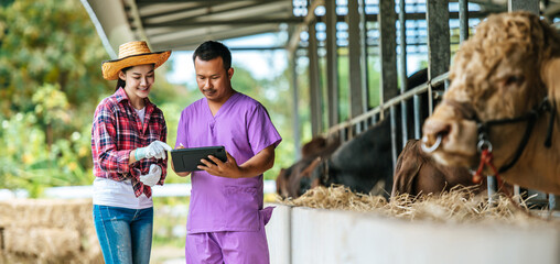 Asian young farmer woman and man with tablet pc computer and cows in cowshed on dairy farm. Agriculture industry, farming, people, technology and animal husbandry concept.