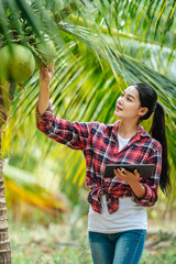 Portrait of Happy Asian young  farmer woman check quality of coconut in farm and using tablet computer to take orders online for customers. Agricultural and technology concepts.