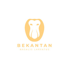 The proboscis monkey (Nasalis larvatus) or long-nosed monkey, known as the bekantan in Indonesia, is a reddish-brown arboreal Old World monkey with an unusually large nose.