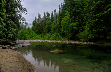 Pine trees reflecting in the crystal clear water of a lake on a cloudy day in Lynn Canyon Park forest, Vancouver, Canada