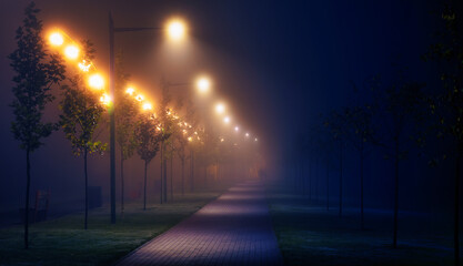 Night city park, shining lanterns, wet asphalt.
