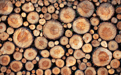 Wooden perpendicular cuts, texture. Abstract natural background.