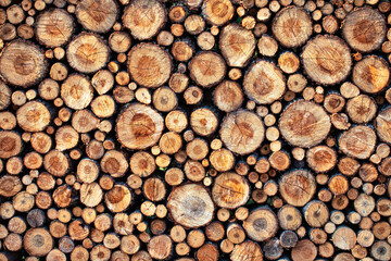 Wooden perpendicular cuts, texture. Abstract natural background.