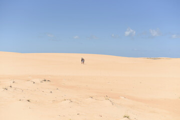 Fototapeta na wymiar Panoramic view of a couple walking in the distance in the dunes on a sunny blue sky day