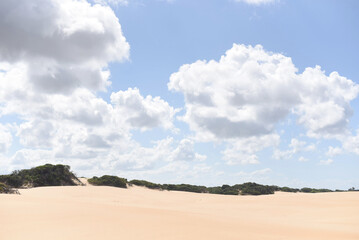 Fototapeta na wymiar Natural landscape of dunes with coastal vegetation