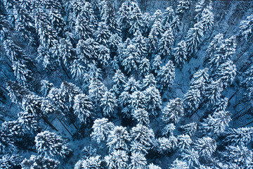 Snowy mountain road and forest, drone view.